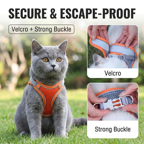 Breathable step-in cat harness and leash with adjustable closure