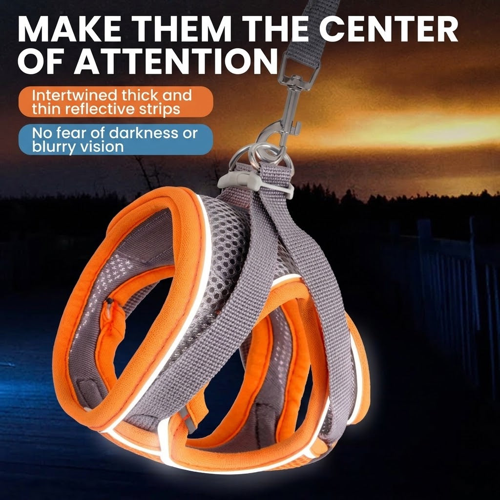 Reflective trim on a breathable cat harness for low-light visibility